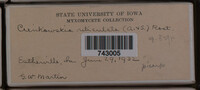 Image Associated With the Occurence